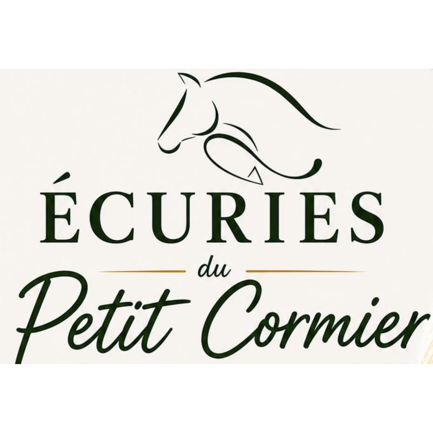 Logo client